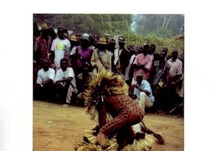 LES HOMMES-PANTHÈRES Rites et pratiques magico-thérapeutiques chez les Wè de Côte d'Ivoire