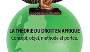 LA THÉORIE DU DROIT EN AFRIQUE