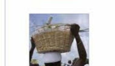 PANAFRICANISME, RELIGION AKAN ET DYNAMIQUES IDENTITAIRES AUX ETATS-UNIS