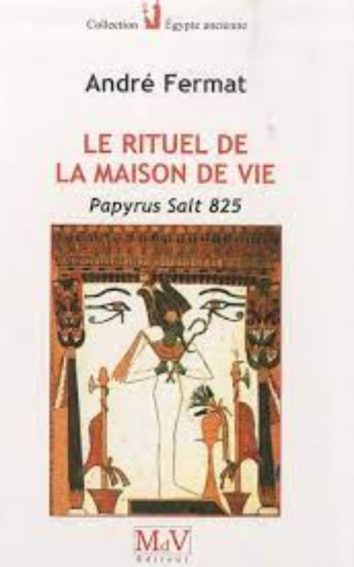 Le rituel de la maison de vie: Papyrus Salt 825