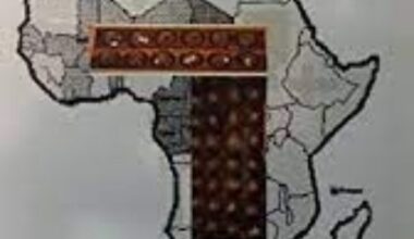 Les mystères du Ngola, jeu de la vie