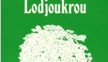 Le système politique de Lodjoukrou