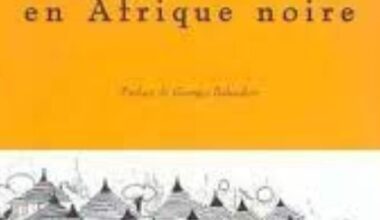 L'ARCHITECTURE EN AFRIQUE NOIRE