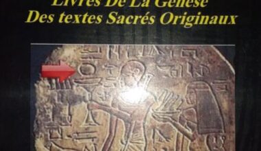 Manuel scolaire de spiritualité pour l'Etat fédéral de kemet tome 11 pour tous les enfants d'Amon Re