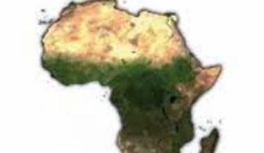 L'ETAT FÉDÉRAL D'AFRIQUE NOIRE : LA SEULE ISSUE