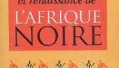 INNOVATIONS SOCIALES ET RENAISSANCE DE L'AFRIQUE NOIRE